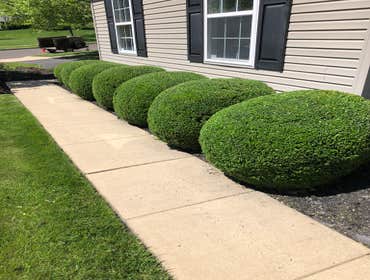 Photos by Ed Francos Simply Green, LLC #1