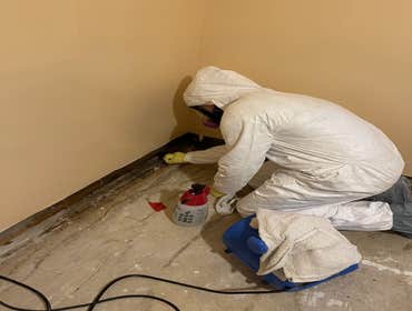 Photos by Elite Water Restoration #1