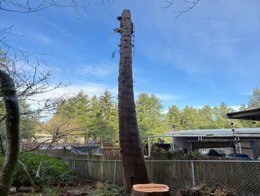 Photos by The Treeman Generation LLC #1