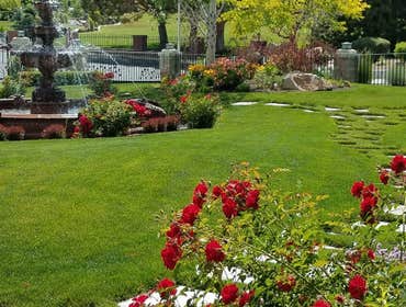 Photos by Omega Landscape Solutions LLC #1