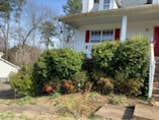Photos by Don Cele Landscaping #1