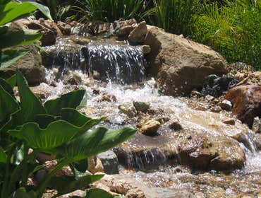 Photo(s) from Pro Pool Management LLC