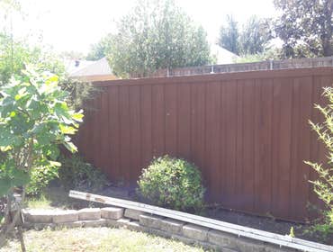 Staining