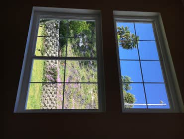 Dining Room Palmer Window