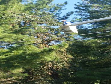 Photos by Amigos Lawn Care & Tree Service #1