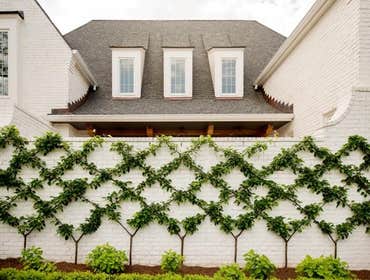 Trimble Road House