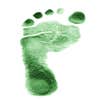 Little Feet Renovation, Inc. logo