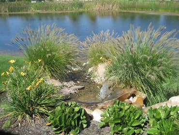 Photos from Natural Lawns and Landscape