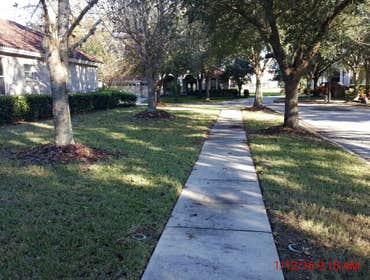 Photos from Popa Construction LLC Before & Afters of a soft wash roof cleaning and driveway and side walk cleaning.
