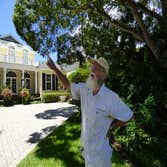 LT Painting Service Inc