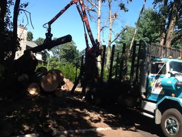 Works by Final Touch Tree Serv