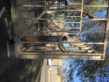 Photos by Action Construction #11