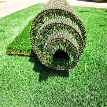 Us Family Turf