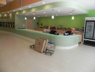 Yogurt Shop