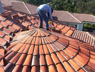 Commercial Roof
