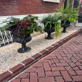 Photos by Rowhouse Growhouse #1
