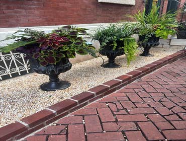 Photos by Rowhouse Growhouse #1