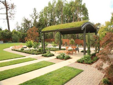 Contemporary Green