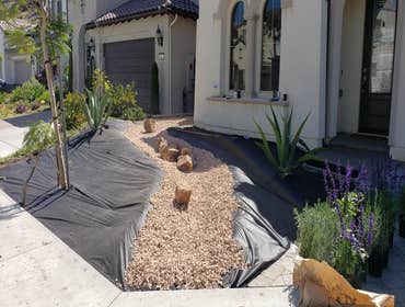 Xeriscape & Dry Creek Xeriscape & Dry Creek