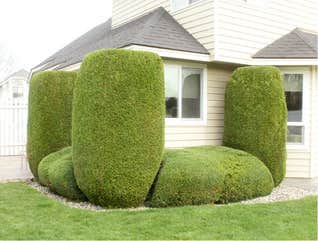 Photos by Artistic Treeworks #1