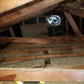 Attic cleaning, decontamination, rodent proof, air seal & insulation installation R 38 (LADWP rebate program) - Los Angeles