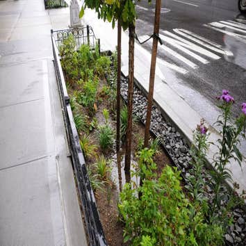 Photos by Landscape & Tree Company Inc #1