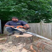 Photos by Marco Professional Tree Services #1
