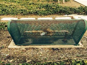 Security Cages