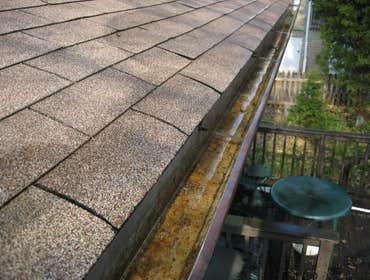 The Best in the Gutter Cleaning Business