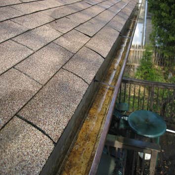 The Best in the Gutter Cleaning Business