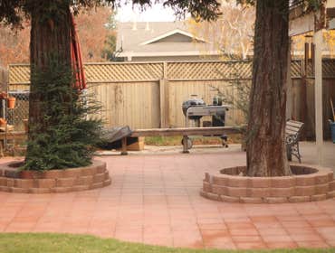 Paver stones around trees