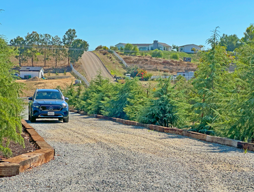 Photos by Mullaney Landscape #1