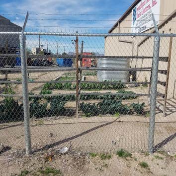 Chain Link