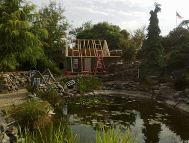 Photos