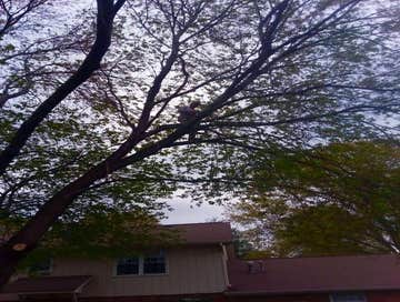 Photos by Don Cele Landscaping #1
