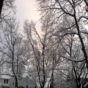 Storm Cleanup