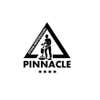 Pinnacle Stone Restoration logo