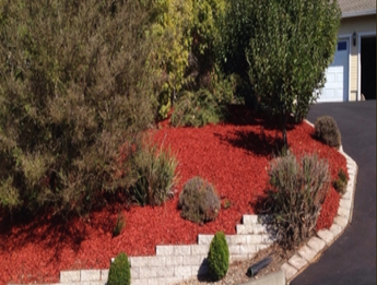 DMG Landscaping