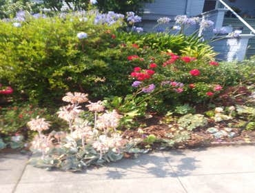 Photos by Pablo Landscaping #1