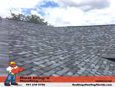 Photos by Red dog's Roofing of Florida #1