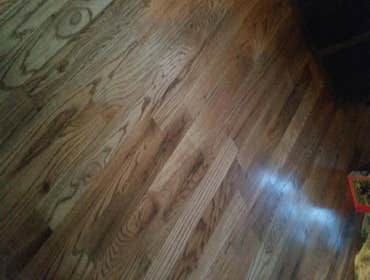 Red oak sample