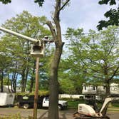 Onsite with Upright