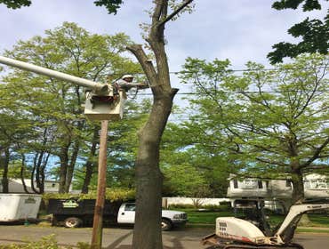 Onsite with Upright