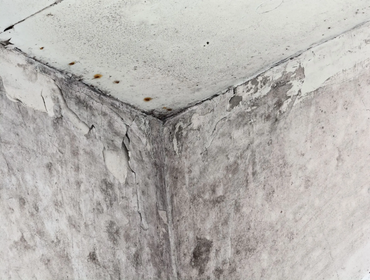 Photos by S7 Services, Inc #2