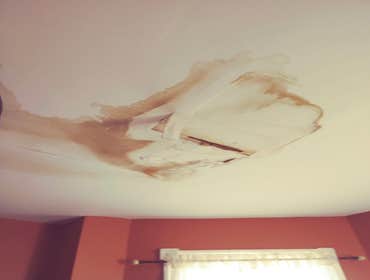 Photos by Silverback Painting Solutions #1