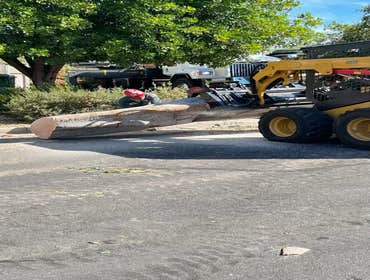 Photos by California Green Tree Care #1