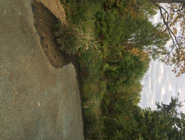 Photos by Steve Danylko Land Service #1 New lawn and landscaping