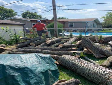 Photos by Sunnyview Landscaping #1