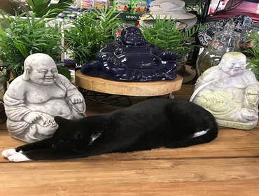 Photos by Decker's Nursery #1