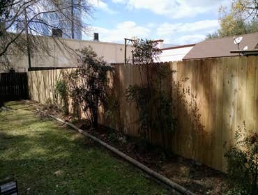 New Cedar Fence